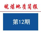 《皖煤地质简报》第12期（总第012期）